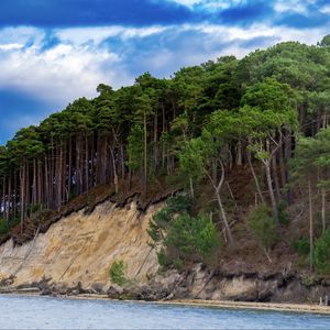 Preview wallpaper sea, trees, forest, clouds, landscape