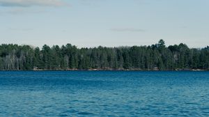 Preview wallpaper sea, trees, forest, nature