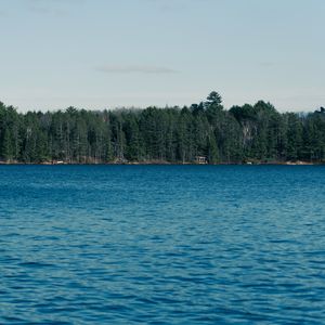 Preview wallpaper sea, trees, forest, nature