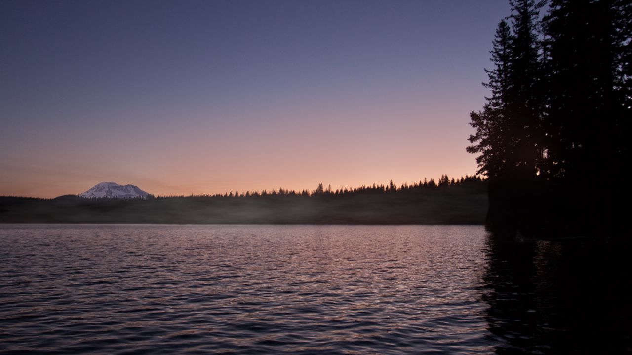 Wallpaper sea, trees, forest, nature, mountain, evening