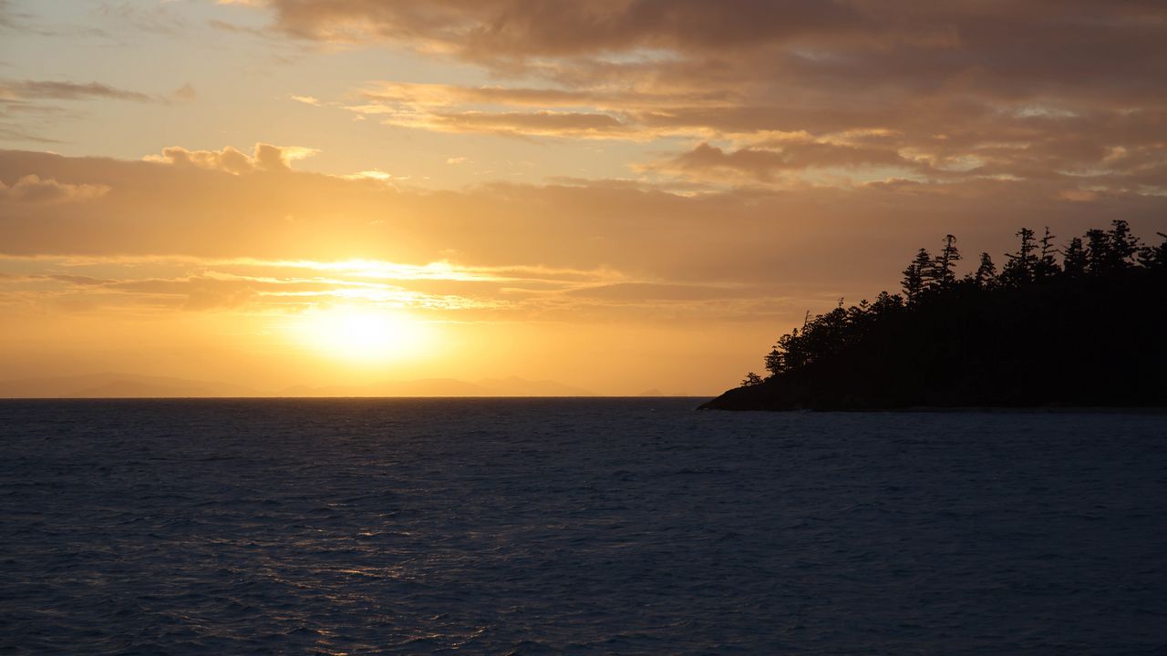 Wallpaper sea, trees, island, sunset, horizon, landscape, dark