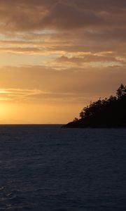 Preview wallpaper sea, trees, island, sunset, horizon, landscape, dark