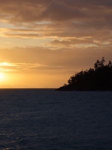 Preview wallpaper sea, trees, island, sunset, horizon, landscape, dark