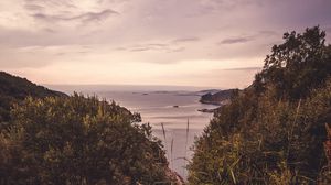 Preview wallpaper sea, trees, leaves, horizon, coast