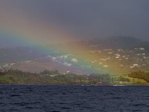 Preview wallpaper sea, trees, rainbow, houses
