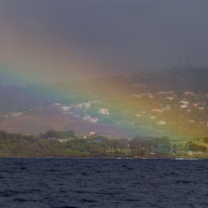 Preview wallpaper sea, trees, rainbow, houses