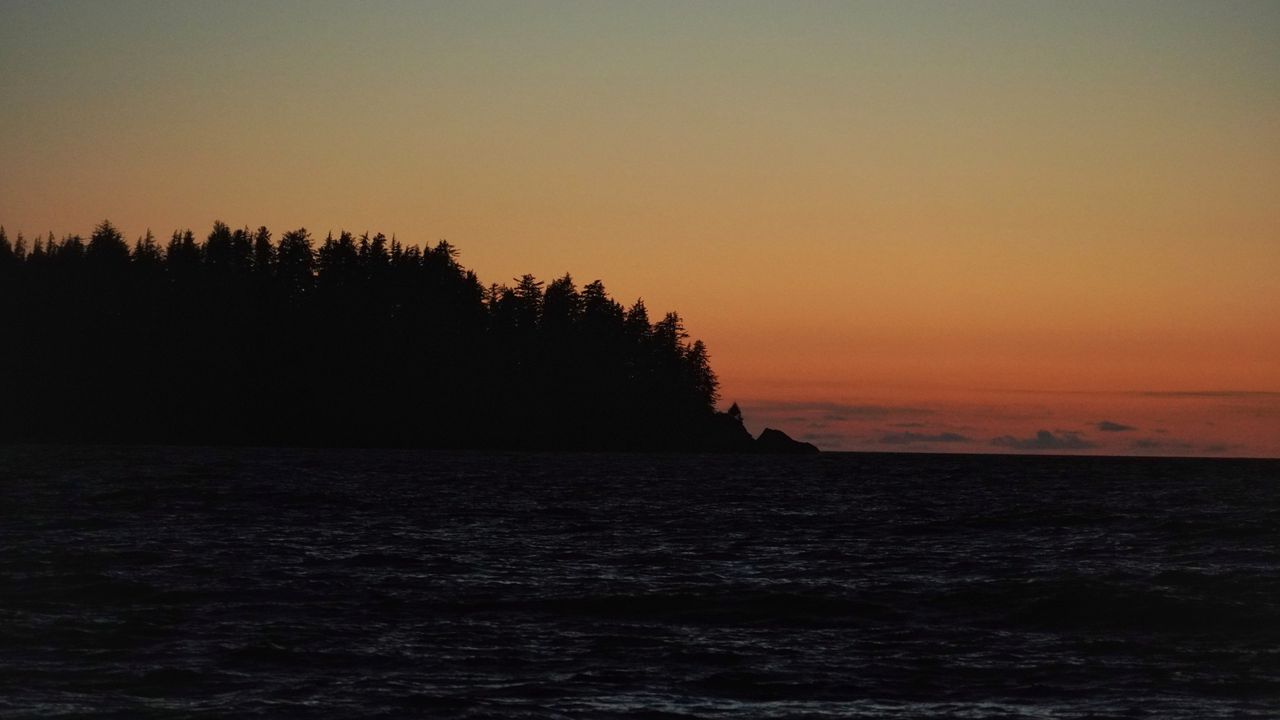 Wallpaper sea, trees, silhouettes, twilight, dark