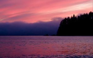 Preview wallpaper sea, trees, sunset, dark, purple