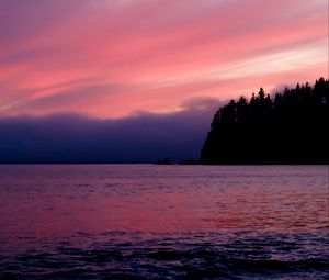 Preview wallpaper sea, trees, sunset, dark, purple