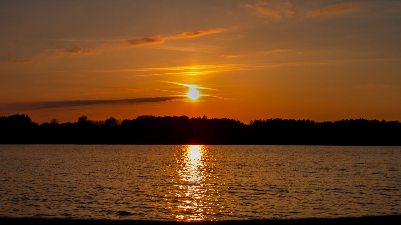 Wallpaper sea, trees, sunset, nature