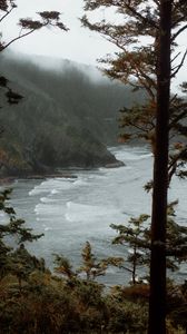Preview wallpaper sea, trees, surf, rocks, fog