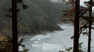 Preview wallpaper sea, trees, surf, rocks, fog