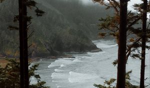 Preview wallpaper sea, trees, surf, rocks, fog