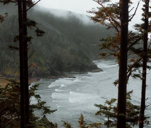 Preview wallpaper sea, trees, surf, rocks, fog