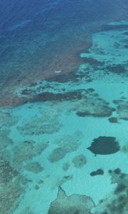 Preview wallpaper sea, water, bottom, nature