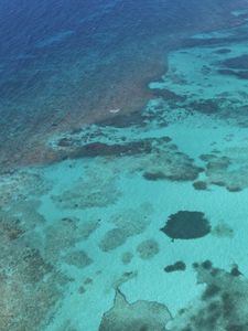 Preview wallpaper sea, water, bottom, nature