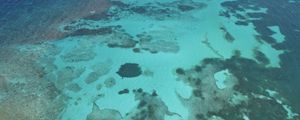 Preview wallpaper sea, water, bottom, nature