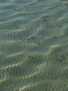 Preview wallpaper sea, water, bottom, ripples, glare