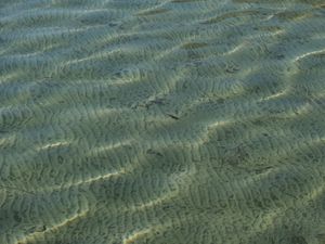 Preview wallpaper sea, water, bottom, ripples, glare