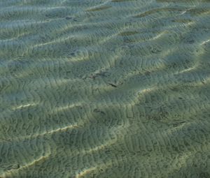 Preview wallpaper sea, water, bottom, ripples, glare