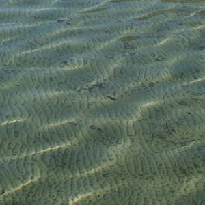 Preview wallpaper sea, water, bottom, ripples, glare