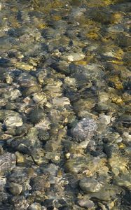 Preview wallpaper sea, water, stones, pebbles, underwater, nature