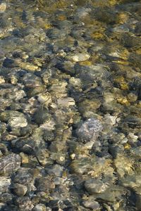 Preview wallpaper sea, water, stones, pebbles, underwater, nature