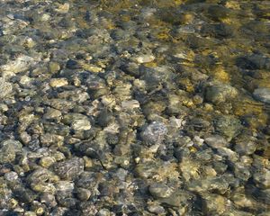 Preview wallpaper sea, water, stones, pebbles, underwater, nature