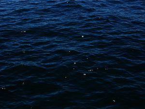 Preview wallpaper sea, water, surface