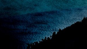 Preview wallpaper sea, water, surface, trees