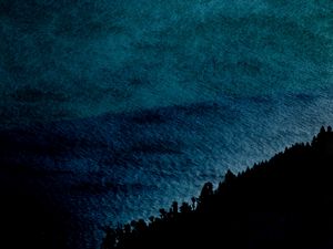 Preview wallpaper sea, water, surface, trees