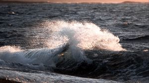 Preview wallpaper sea, wave, spray, drops, water