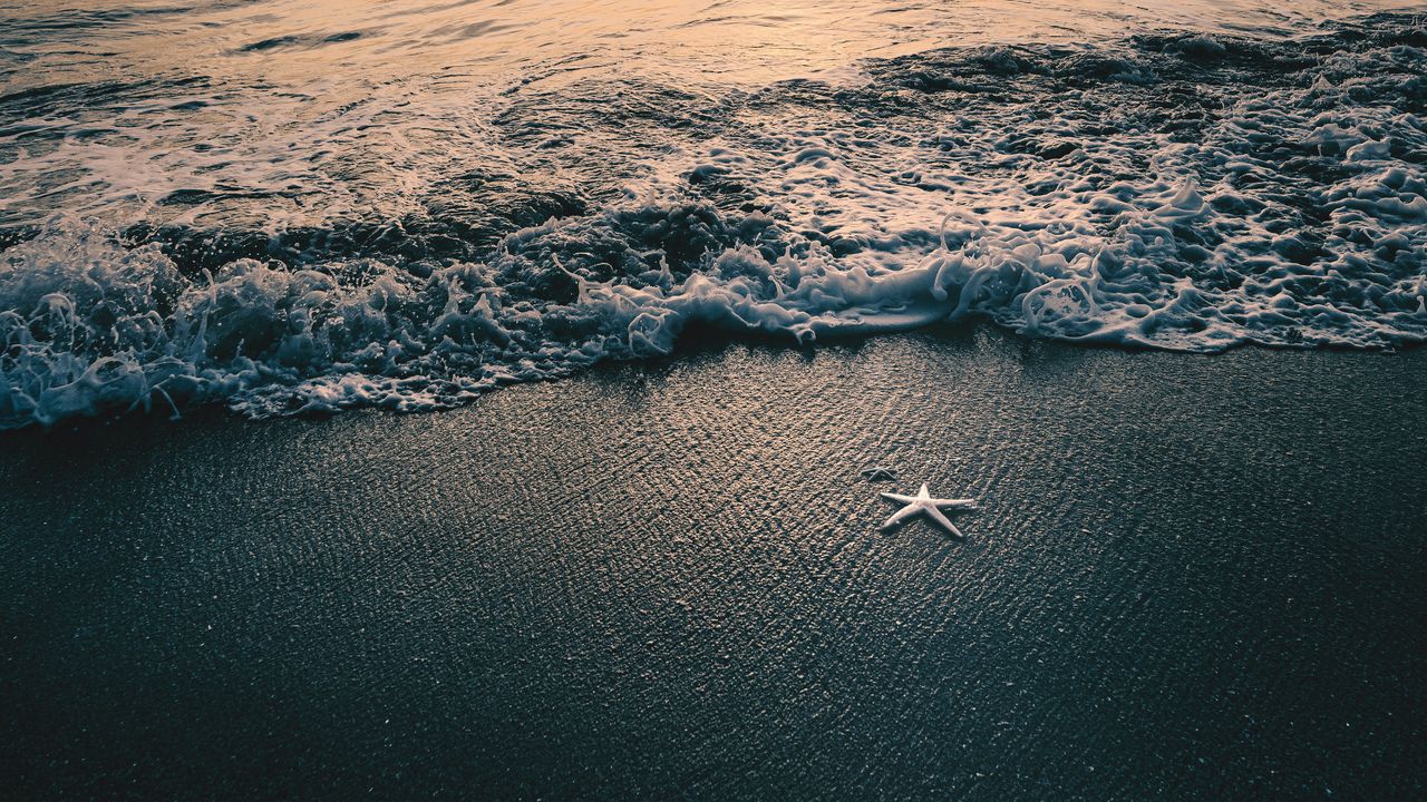 Wallpaper sea, waves, beach, starfish, twilight