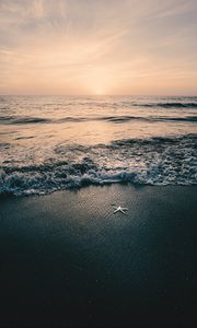 Preview wallpaper sea, waves, beach, starfish, twilight
