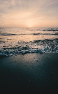 Preview wallpaper sea, waves, beach, starfish, twilight