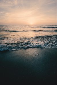 Preview wallpaper sea, waves, beach, starfish, twilight