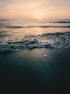 Preview wallpaper sea, waves, beach, starfish, twilight
