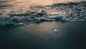 Preview wallpaper sea, waves, beach, starfish, twilight