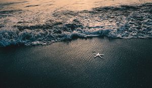 Preview wallpaper sea, waves, beach, starfish, twilight