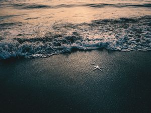 Preview wallpaper sea, waves, beach, starfish, twilight