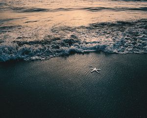 Preview wallpaper sea, waves, beach, starfish, twilight