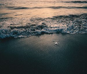 Preview wallpaper sea, waves, beach, starfish, twilight