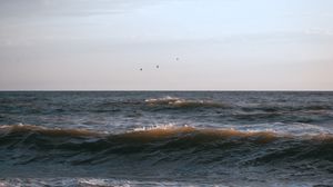 Preview wallpaper sea, waves, birds, coast, sky