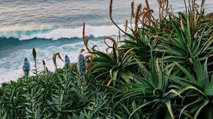 Preview wallpaper sea, waves, flowers, plants, landscape