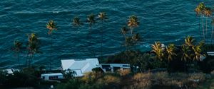 Preview wallpaper sea, waves, foam, palm trees, house