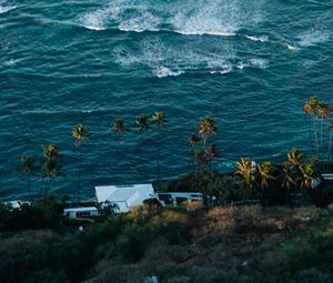 Preview wallpaper sea, waves, foam, palm trees, house