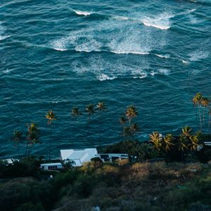 Preview wallpaper sea, waves, foam, palm trees, house