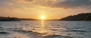 Preview wallpaper sea, waves, forest, sun, sunset