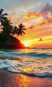 Preview wallpaper sea, waves, palm trees, tropics, sun, sunset