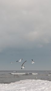 Preview wallpaper sea, waves, seagulls, birds, clouds